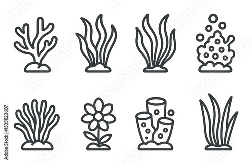 Underwater plants linear icons: coral, kelp, seaweed, algae, anemone, aquatic flower, sponge, sea grass.