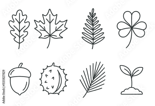 Nature icons linear style: oak leaf, maple leaf, fern leaf, clover, acorn, chestnut, pine needle, seedling.