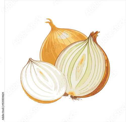 Red onion with two cut sections.