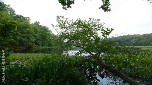 Pocahontas state park