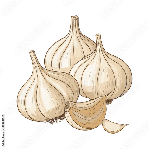 Garlic.