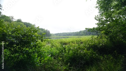 Pocahontas state park