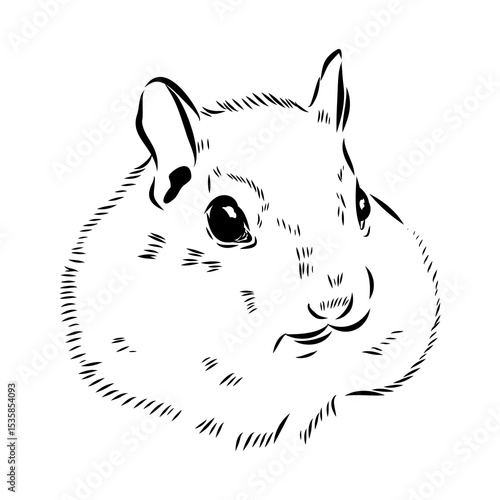 chipmunk, vector sketch