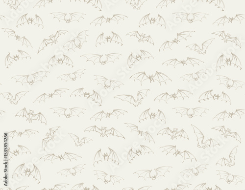 The bats is flying. Vector drawing