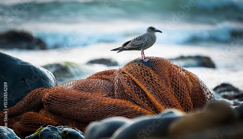 a solitary bird perched on a tangled fishing net amidst seaweed and rocks near the ocean
