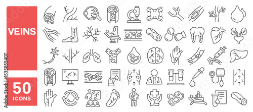 Set of 50 line icons related to veins, artery, vein, vascular, blood circulation, thrombosis, venous, vessel, Editable stroke. Vector illustration