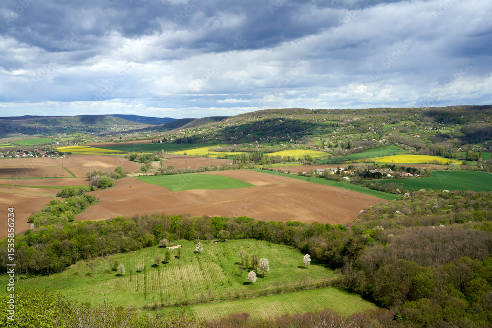 Fototapeta premium Rural Hungarian Spring Bliss: Agricultural Fields, Easter Village Scene, Family Homes, Vineyards, Blooming Forest Backdrop