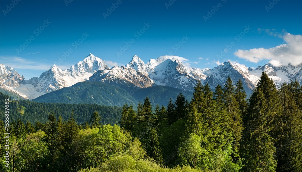 Fototapeta premium majestic snow capped mountains rise above a lush green forest