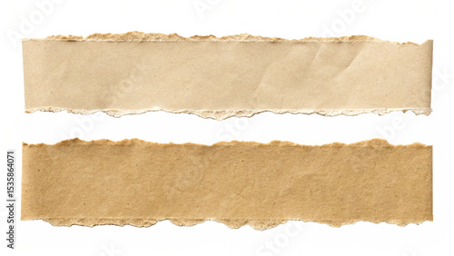 torn brown paper strips with rough edges isolated on white background for scrapbooking and craft design elements isolated on white background.