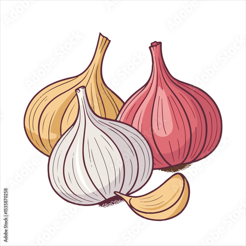 Garlic  Vector