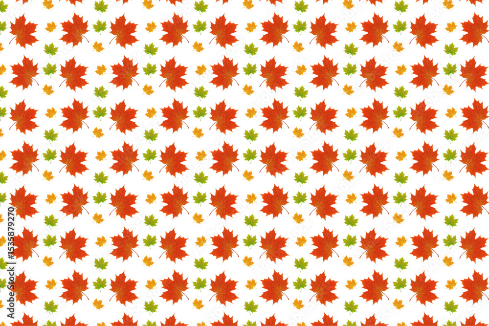 Obraz premium Maple leaf, maple leaf pattern, repeat pattern