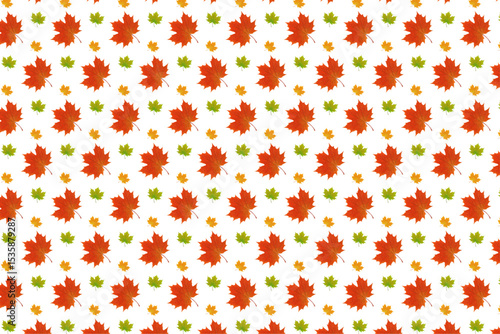 Wallpaper Mural Maple leaf, maple leaf pattern, repeat pattern Torontodigital.ca