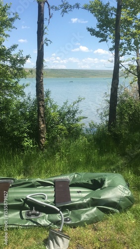 Boat lake trees