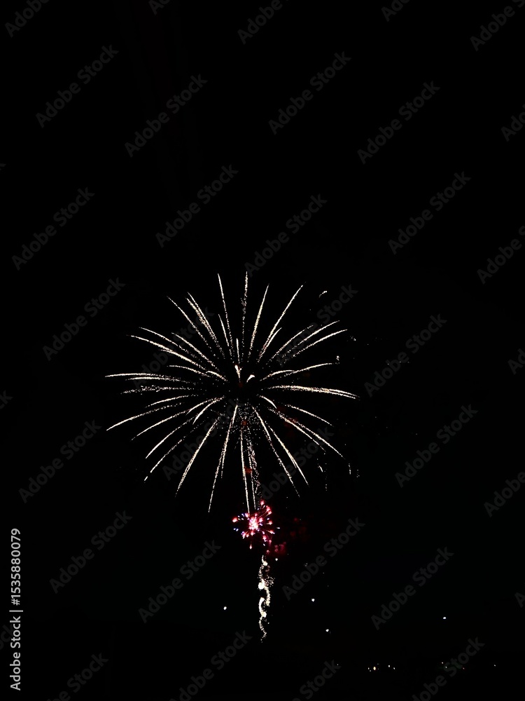 Fototapeta premium Fireworks Bursting Against Night Sky