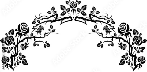 Elegant roses frame