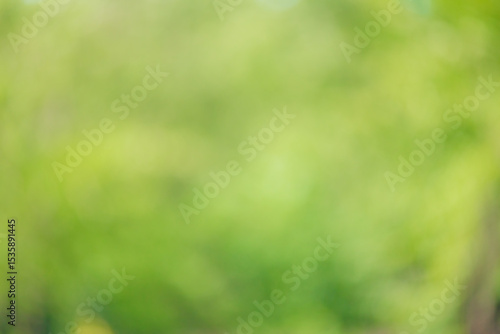 Fényképezés Natural abstract defocused background