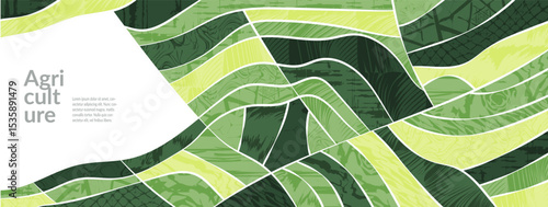 Farm field landscape with agriculture pattern of rice and vineyard, abstract green background, nature texture. Organic hills, tea plantation, valley panorama, eco paddy, spring harvest, vineyard view