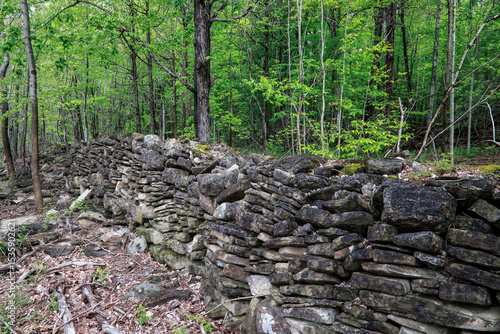 Canvas-taulu A rustic stone fence made of flat rocks winds through a quiet forest, surrounded by green trees and dense bushes