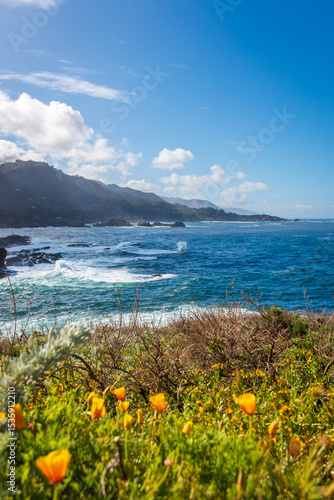 Scenic view of rocky Pacific Ocean coast at Point Lobos State Natural Reserve, California, USA with California poppies