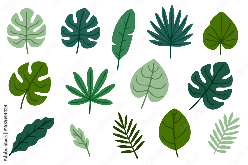 Fototapeta premium Exotic tropical leaves collection with soft green tones and elegant botanical details. Perfect for nature graphics and interior decoration