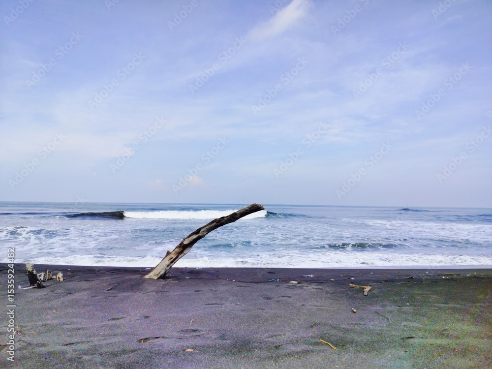 Fototapeta premium driftwood with ocean and sky background