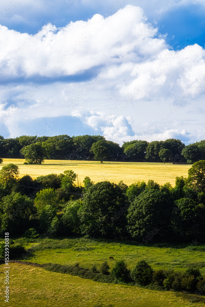 Naklejka premium Walk outside of Oughtibridge, South Yorkshire, June 2025 