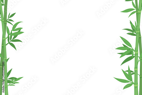 Tropical Bamboo Frame with Green Leaves on White Background. Design Template for Spa Flyers, Eco Posters, Wellness Concept. Asian Style Borders, Vector Illustration