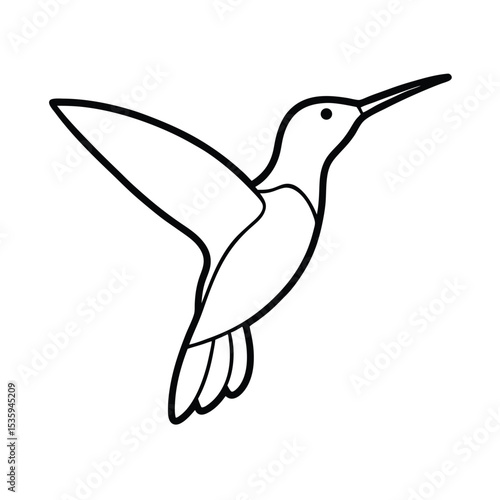 Full body hummingbird vector illustration on white background