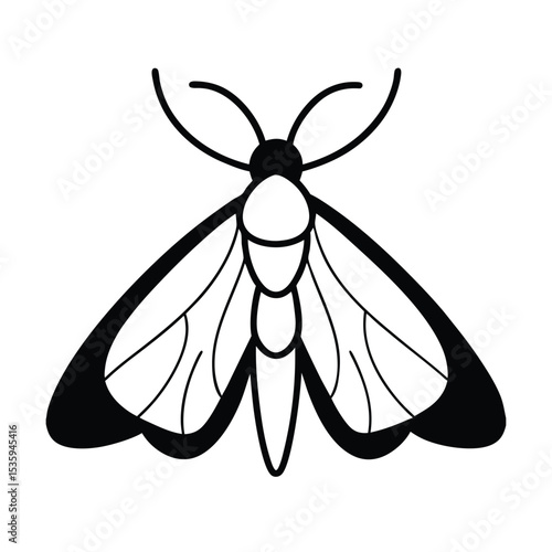 Full body moth vector illustration on white background
