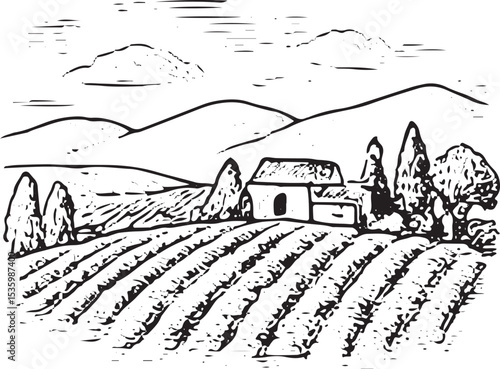 Scenic vintage illustration of a vineyard landscape with rolling hills, symbolizing the serene beauty and fertile grounds essential for grape cultivation and winemaking