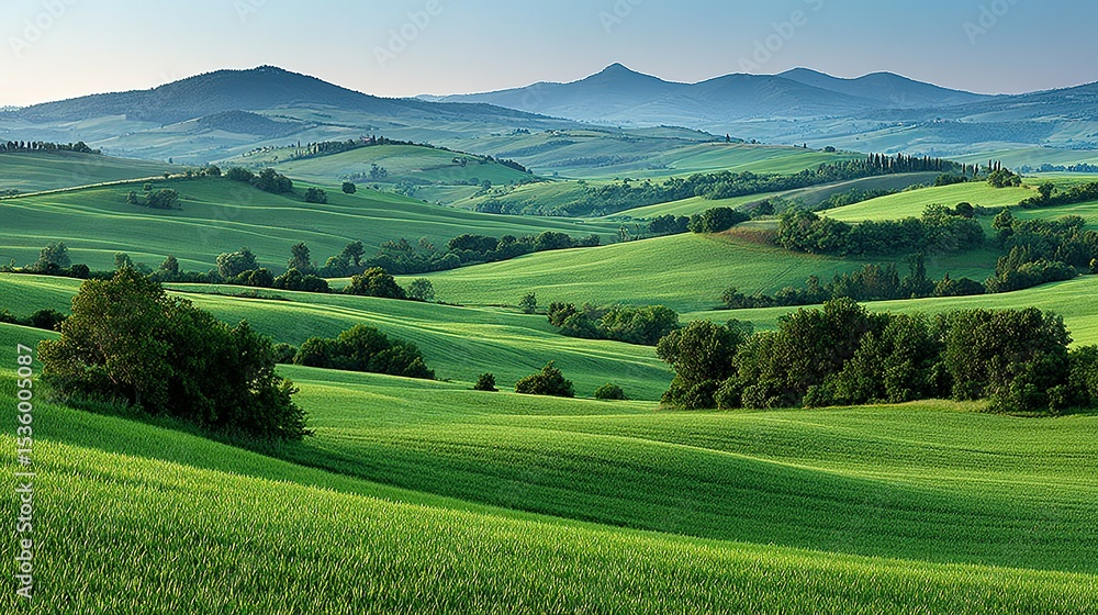 Fototapeta premium Lush green hills and valleys under a clear sky.
