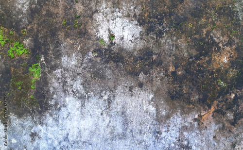 Close-up of a mold-covered wall showing texture and decay. Weathered concrete wall with moss and stains. Grunge background