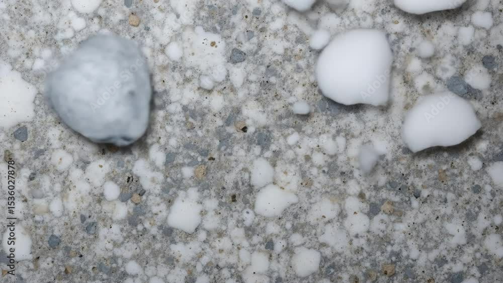 Close-up of a Textured Concrete Surface with White Spots Close-up of a Textured Concrete Surface with White Spots