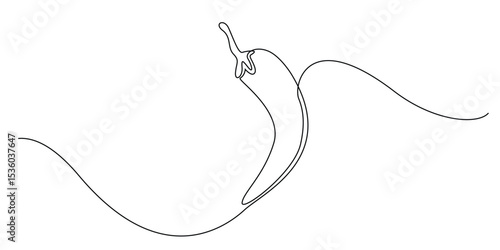 one continuous line chili.one line chili drawing.line art vector illustration