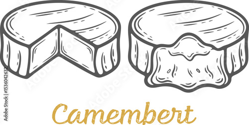 Camembert soft cheese set cooked melted organic milk butter fresh food engraving