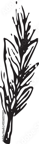 A detailed black-and-white sketch of a wheat stalk, symbolizing rural farming and harvest, adding rustic charm to a farmer activity illustration