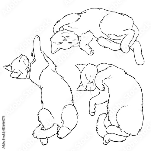 Hand drawn realistic sketch of sleepy kittens. Poses of cute cats sleeping.