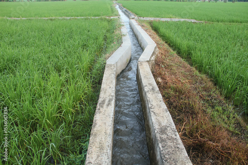Irrigation or water flow or water canals built along rice field areas which function to supply the water needed for agricultural land