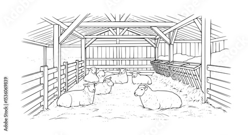 Sheep Resting in A Barn Black and Whiite - Line Art Vector