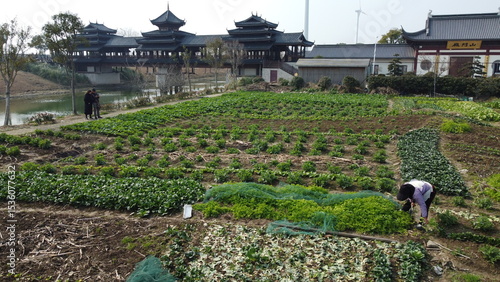 Foto Drone footage of Jinshan District in Shanghai, China, featuring traditional farmland, a Chinese pagoda, and classic architecture