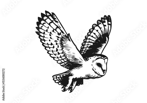 Barn Owl hand drawn sketch vector illustration