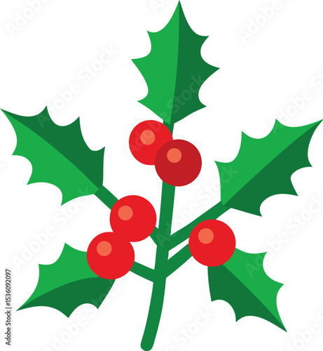 christmas holly with red berries