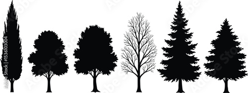 Silhouettes of trees, botanical variety illustration, nature clipart vector, black forest elements, different tree shapes, seasonal tree design, evergreen pine, leafless winter tree, landscape art set