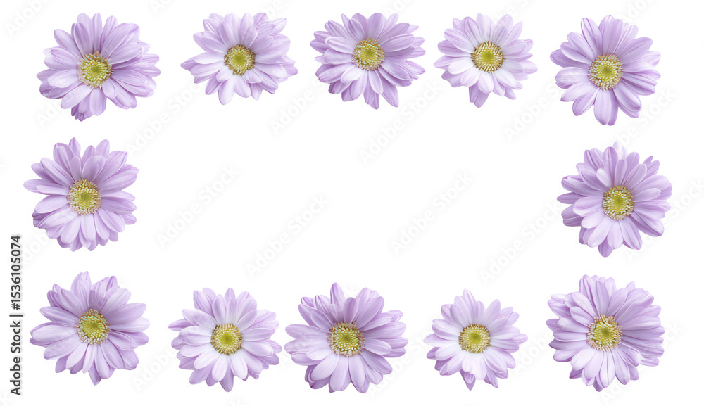 Lavender Daisy Flower Frame Lavender Daisy Flower Frame