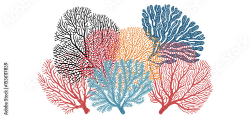 Colorful Sea Fan Coral Reef Illustration Design