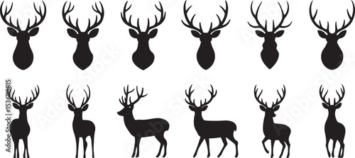 Graphic black silhouettes of wild deers – male, female and  roe deer