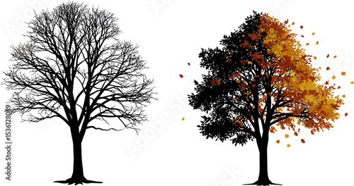 Autumn season change concept with bare tree and tree with falling leaves vector illustration design 100 editable stock vector illustration