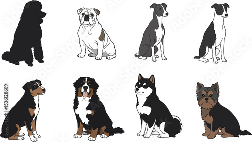 Dog breeds identification guide featuring poodle bulldog greyhound terrier shiba bernese appenzeller editable stock vector illustration