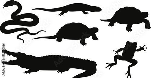 Reptiles and amphibians silhouettes vector illustration snake alligator turtle frog lizard set graphic design editable stock vector illustration