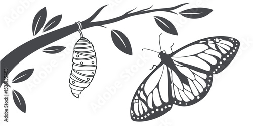 Illustration of a butterfly emerging from a chrysalis hanging on a tree branch with leaves around it